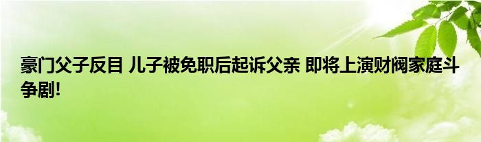 豪门父子反目 儿子被免职后起诉父亲 即将上演财阀家庭斗争剧!