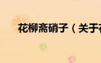 花柳斋硝子（关于花柳斋硝子的简介）