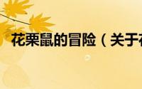 花栗鼠的冒险（关于花栗鼠的冒险的简介）
