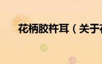 花柄胶杵耳（关于花柄胶杵耳的简介）