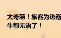 太奇葩！旅客为逃避安检把活蜗牛藏嘴里 蜗牛都无语了！