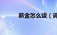 薪金怎么读（词语薪金怎么读）