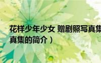 花样少年少女 赠剧照写真集（关于花样少年少女 赠剧照写真集的简介）