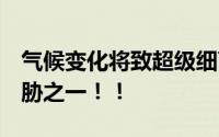 气候变化将致超级细菌增加  全球十大健康威胁之一！！