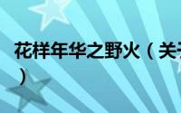 花样年华之野火（关于花样年华之野火的简介）