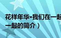 花样年华·我们在一起（关于花样年华·我们在一起的简介）