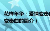 花样年华：爱情变奏曲（关于花样年华：爱情变奏曲的简介）