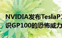 NVIDIA发布TeslaP100显示卡Pascal降临见识GP100的恐怖威力