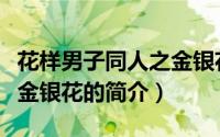 花样男子同人之金银花（关于花样男子同人之金银花的简介）