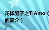 花样男子之TiAmo（关于花样男子之TiAmo的简介）