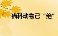 猫科动物已“绝”OSX10.9会叫什么