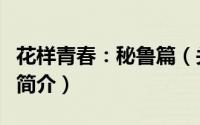 花样青春：秘鲁篇（关于花样青春：秘鲁篇的简介）