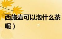 西施壶可以泡什么茶（西施壶适合泡哪种茶叶呢）