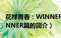 花样青春：WINNER篇（关于花样青春：WINNER篇的简介）