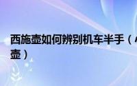 西施壶如何辨别机车半手（小品西施壶怎么判断是不是机车壶）