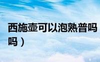 西施壶可以泡熟普吗（西施壶适合冲泡熟普洱吗）