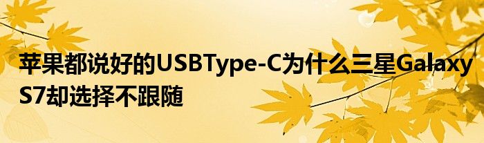 苹果都说好的USBType