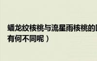 蟠龙纹核桃与流星雨核桃的区别（蟠龙纹核桃与流星雨核桃有何不同呢）