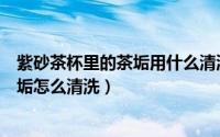 紫砂茶杯里的茶垢用什么清洗最方便最好（紫砂茶杯里的茶垢怎么清洗）