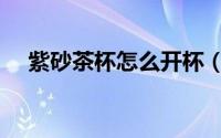 紫砂茶杯怎么开杯（紫砂茶杯如何开杯）