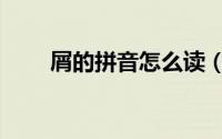 屑的拼音怎么读（怎么读屑的读音）