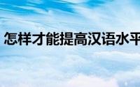 怎样才能提高汉语水平（如何提高汉语水平）
