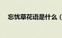 忘忧草花语是什么（忘忧草的花语介绍）