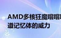 AMD多核狂魔嚐嚐Intel96核192线程24通道记忆体的威力