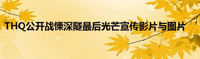 THQ公开战慄深隧最后光芒宣传影片与图片