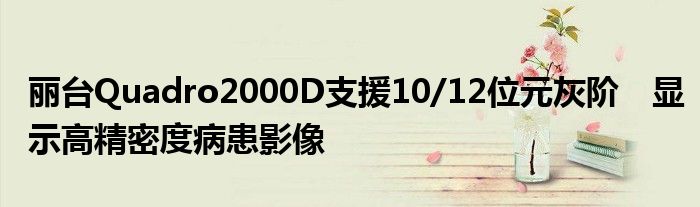 丽台Quadro2000D支援10/12位元灰阶　显示高精密度病患影像