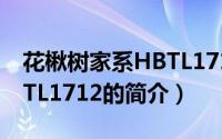 花楸树家系HBTL1712（关于花楸树家系HBTL1712的简介）