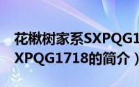 花楸树家系SXPQG1718（关于花楸树家系SXPQG1718的简介）