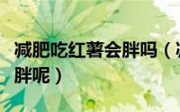 减肥吃红薯会胖吗（减肥期间吃红薯会不会长胖呢）