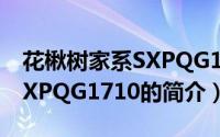 花楸树家系SXPQG1710（关于花楸树家系SXPQG1710的简介）