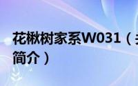 花楸树家系W031（关于花楸树家系W031的简介）