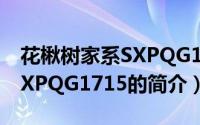 花楸树家系SXPQG1715（关于花楸树家系SXPQG1715的简介）