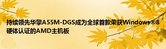 持续领先华擎A55M