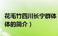 花毛竹四川长宁群体（关于花毛竹四川长宁群体的简介）
