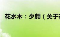 花水木：夕颜（关于花水木：夕颜的简介）