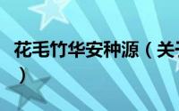 花毛竹华安种源（关于花毛竹华安种源的简介）