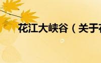 花江大峡谷（关于花江大峡谷的简介）