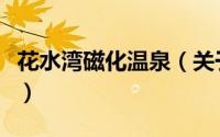 花水湾磁化温泉（关于花水湾磁化温泉的简介）