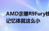 AMD亲曝R9Fury核心FijiGPU+HBM显示记忆体就这么小