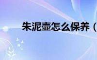 朱泥壶怎么保养（朱泥壶如何保养）