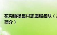 花沟镇杨集村志愿服务队（关于花沟镇杨集村志愿服务队的简介）
