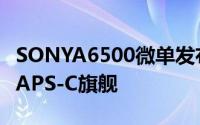SONYA6500微单发布支援五轴五级防手震的APS-C旗舰