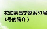 花油茶昌宁家系51号（关于花油茶昌宁家系51号的简介）