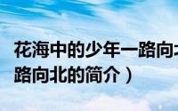 花海中的少年一路向北（关于花海中的少年一路向北的简介）