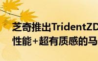 芝奇推出TridentZDDR4记忆体发烧级超频性能+超有质感的马甲