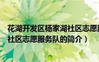 花湖开发区杨家湖社区志愿服务队（关于花湖开发区杨家湖社区志愿服务队的简介）